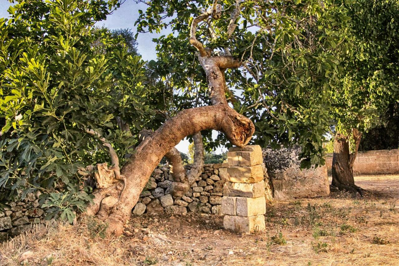 Masseria Costa Corigliano d'Otranto Bagian luar foto